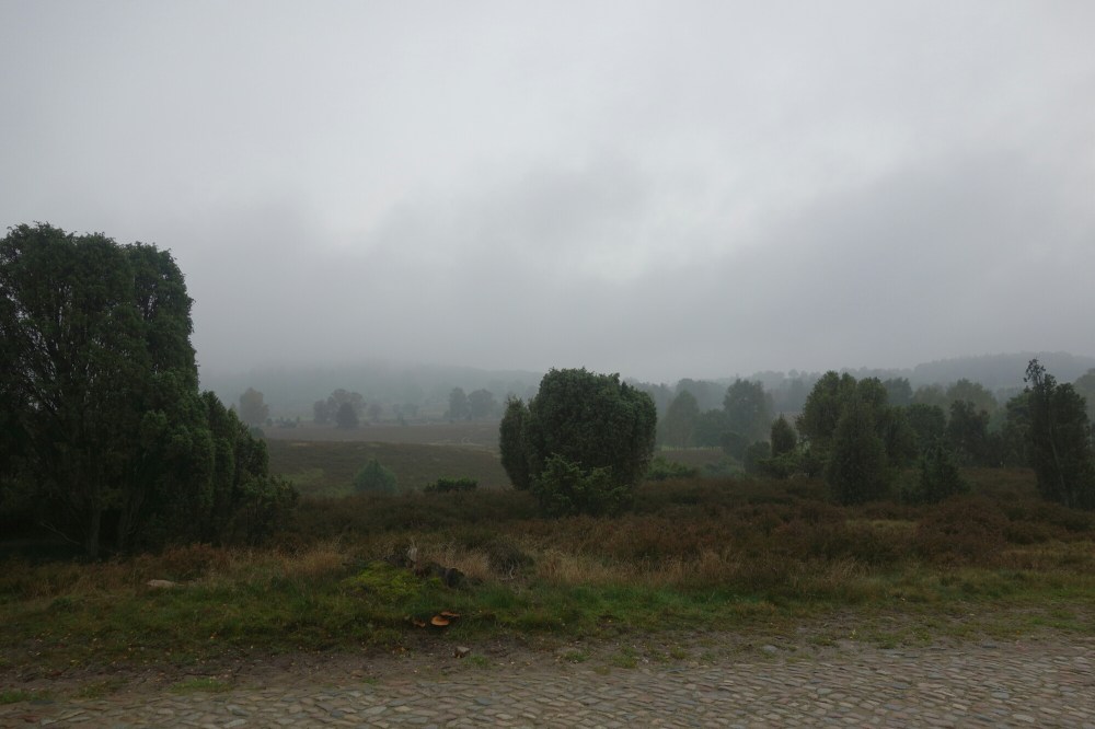 DSC03429.JPG image