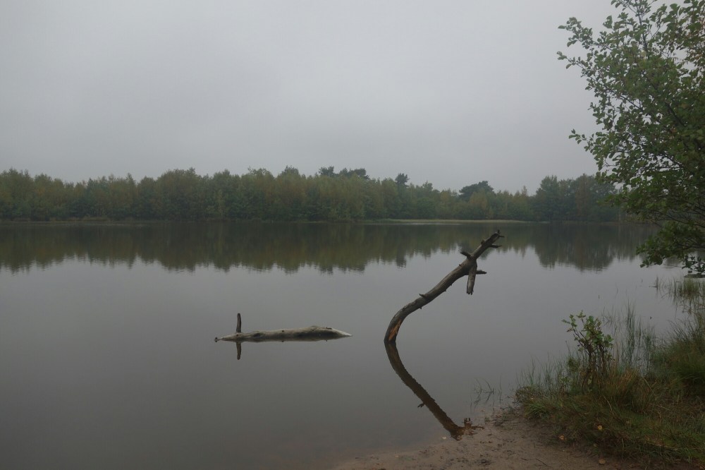 DSC03430.JPG image