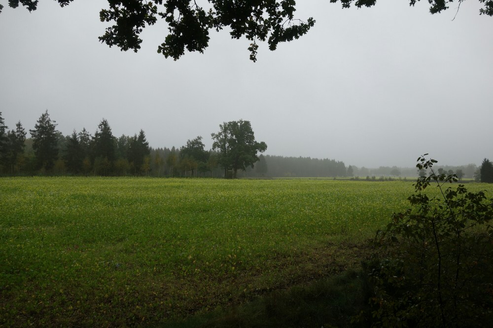 DSC03434.JPG image