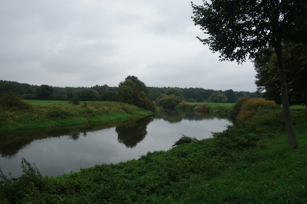 DSC03437.JPG image