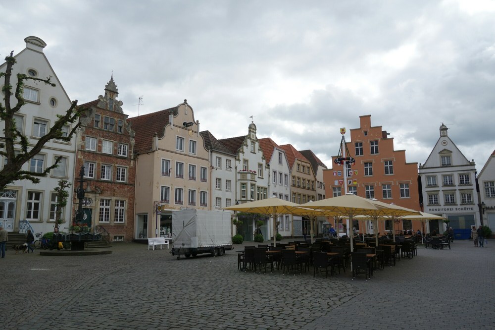 DSC03585.JPG image