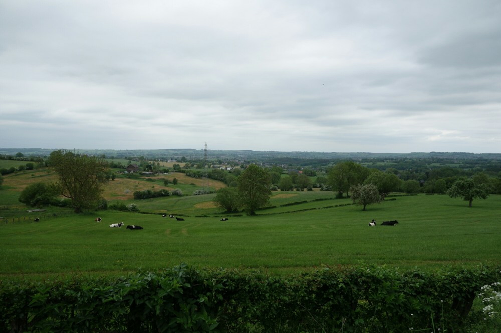 DSC03691.JPG image