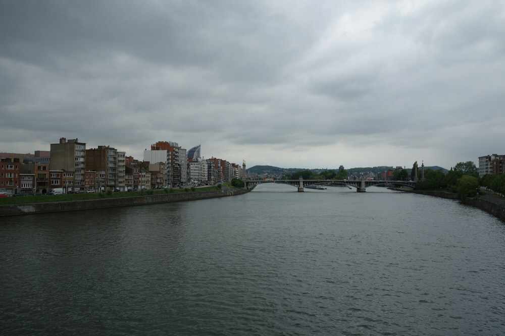 DSC03693.JPG image