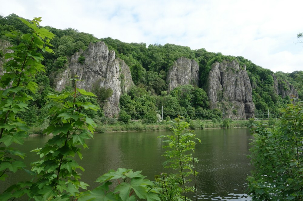 DSC03707.JPG image