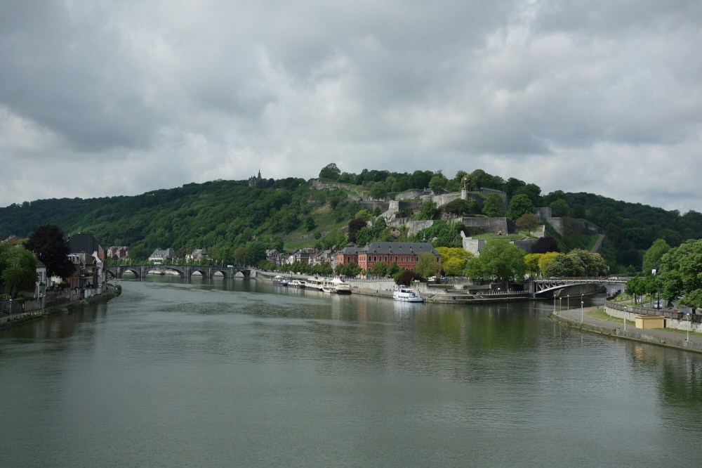 DSC03711.JPG image