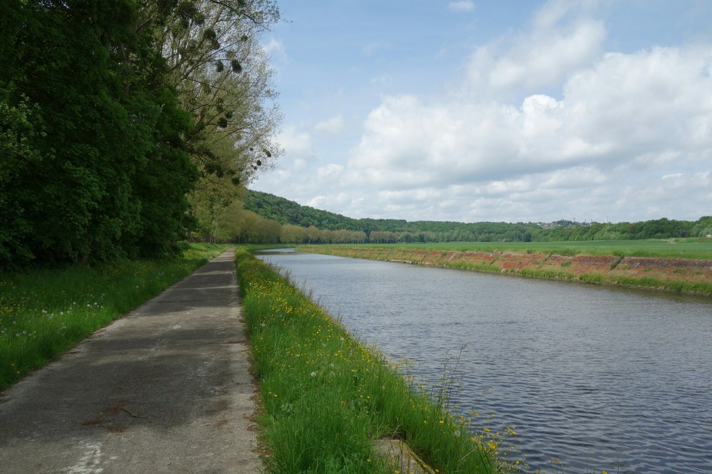 DSC03713.JPG image