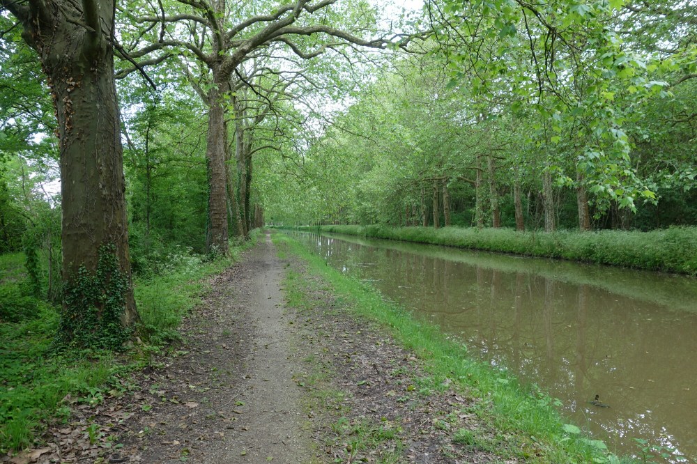 DSC03800.JPG image