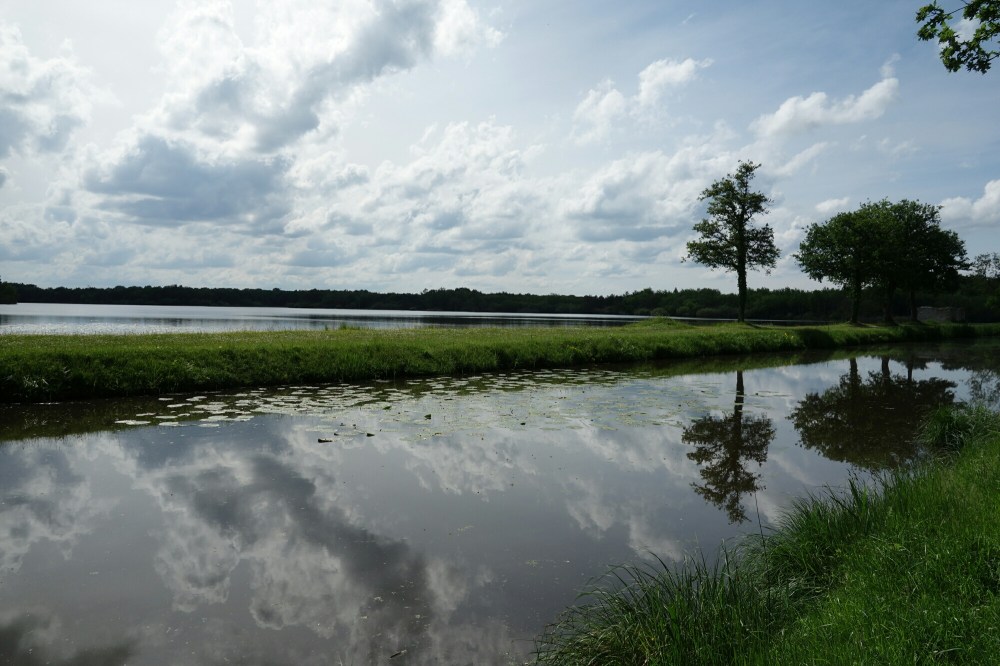DSC03802.JPG image