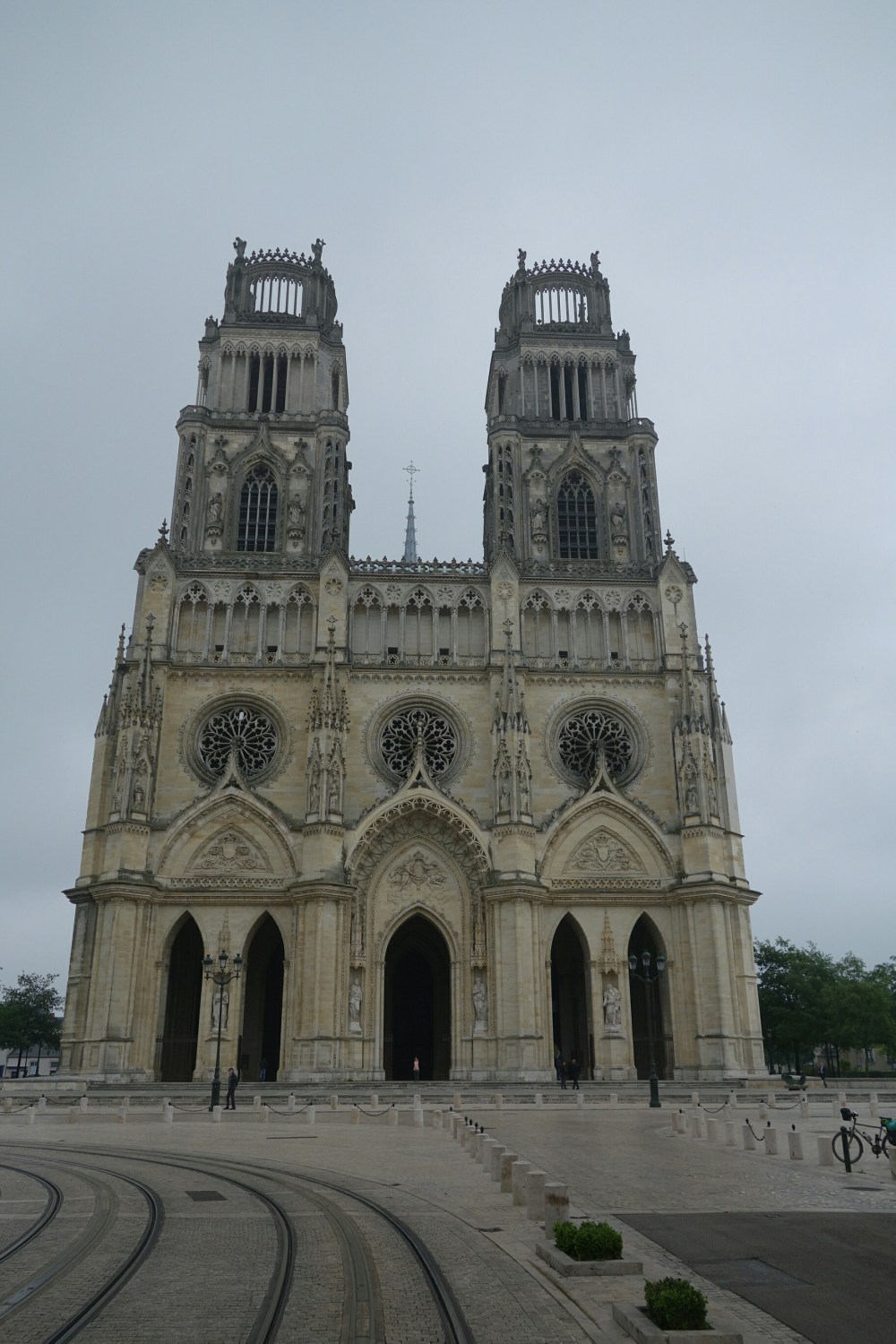 DSC03810.JPG image