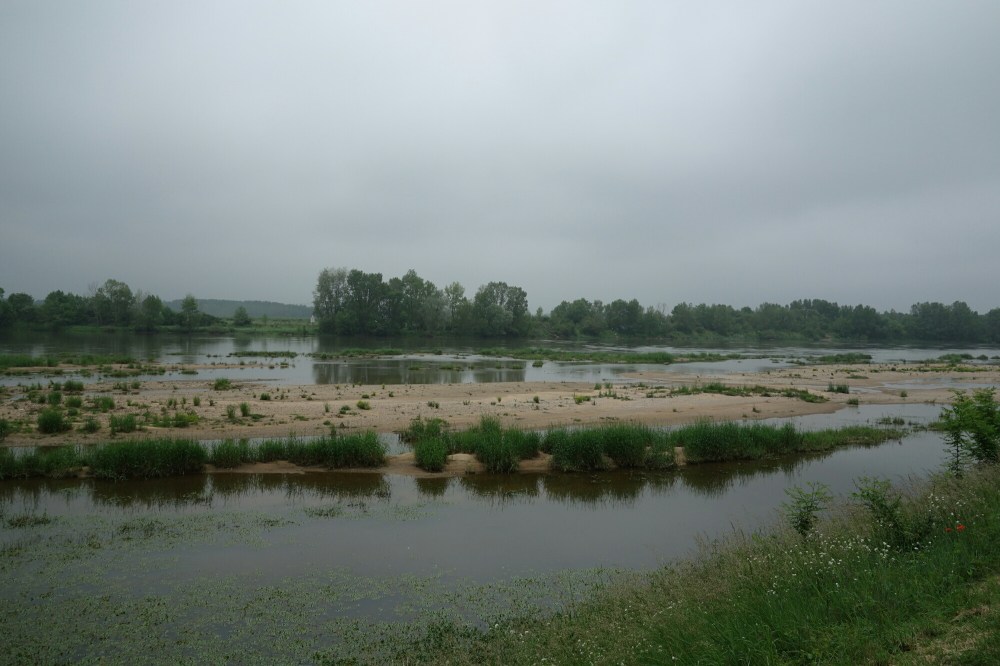 DSC03818.JPG image