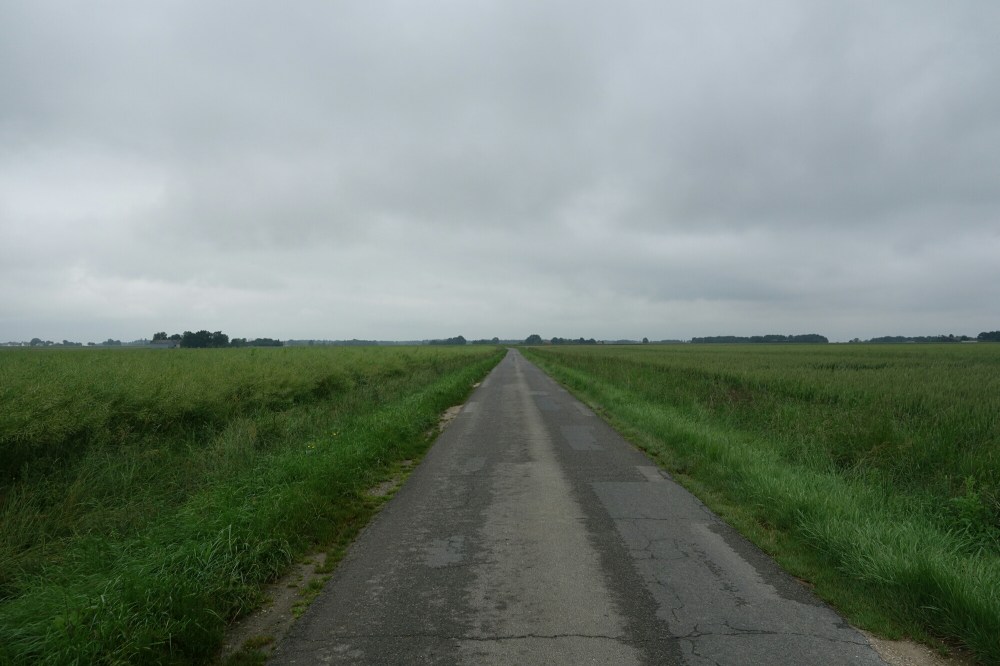 DSC03836.JPG image
