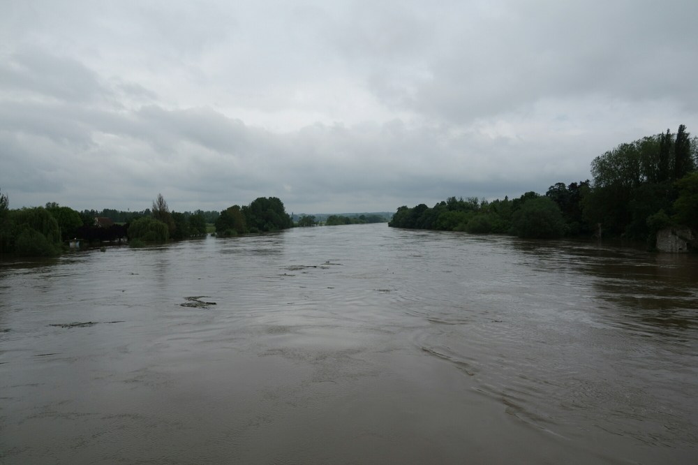 DSC03837.JPG image
