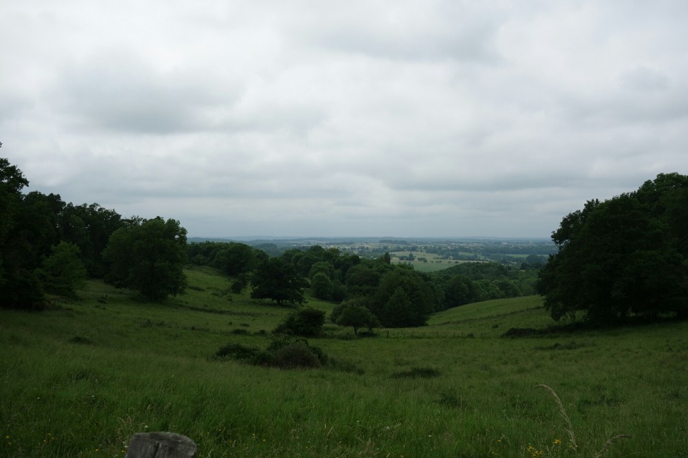 DSC03867.JPG image