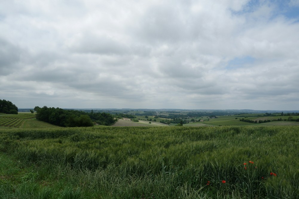 DSC03876.JPG image