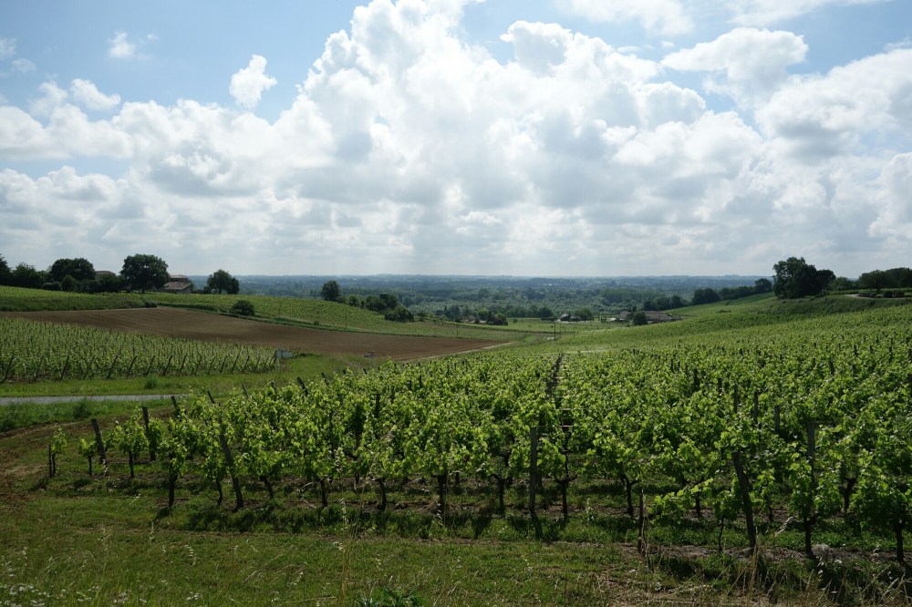 DSC03883.JPG image
