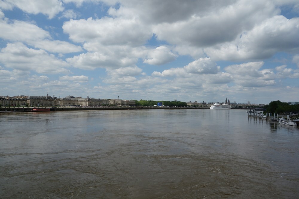 DSC03890.JPG image
