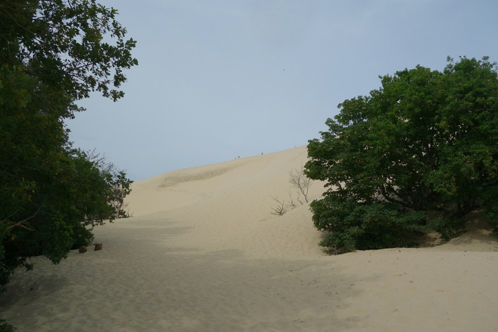 DSC03911.JPG image