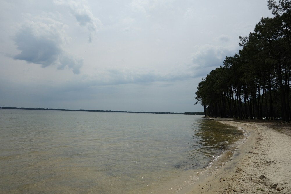DSC03930.JPG image
