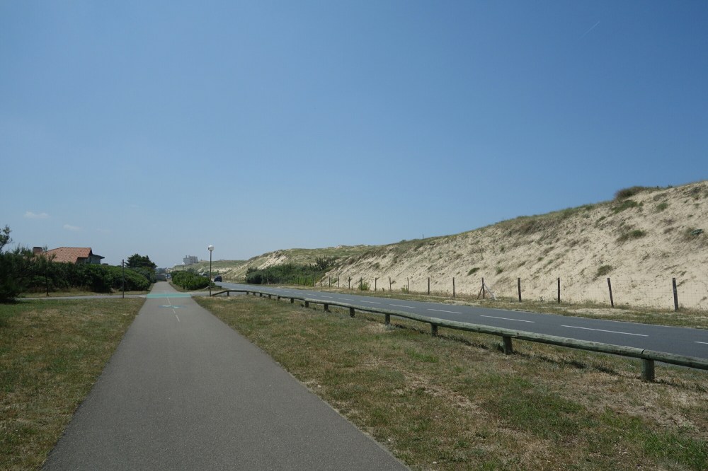 DSC03965.JPG image