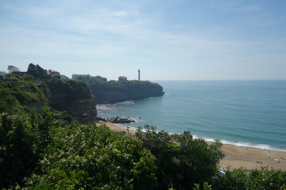 DSC03981.JPG image