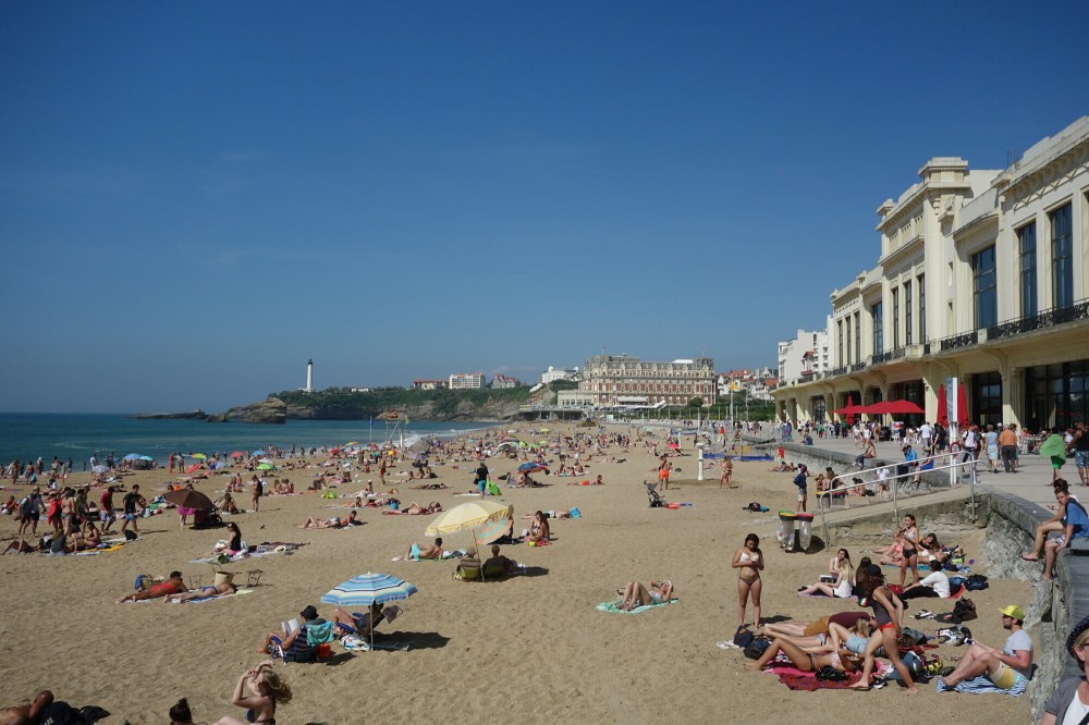 DSC03985.JPG image