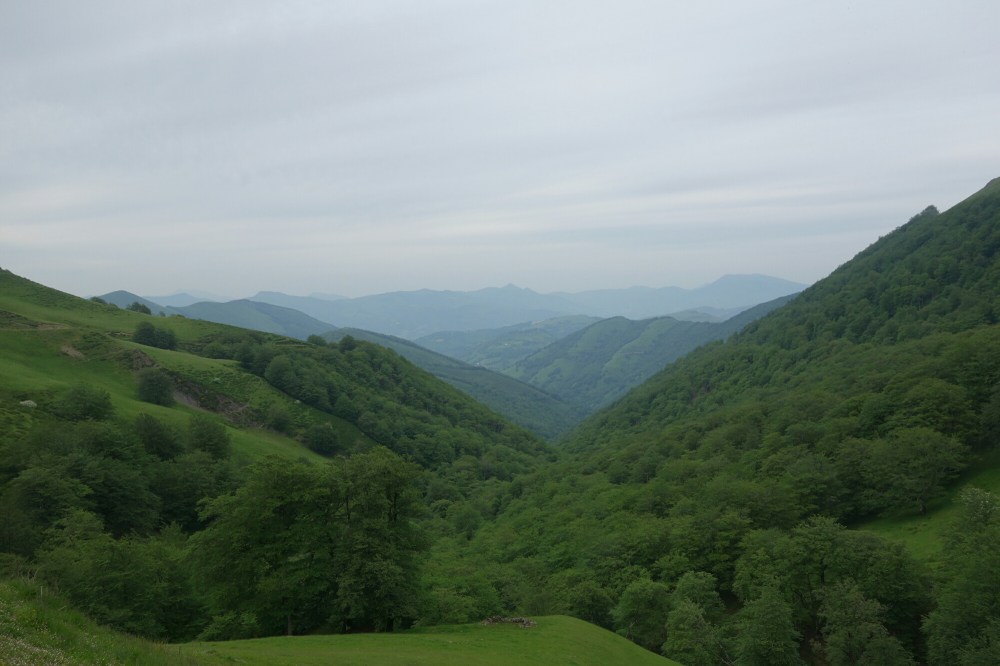 DSC04013.JPG image