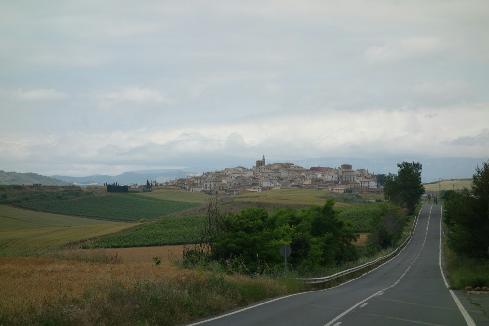 DSC04044.JPG image