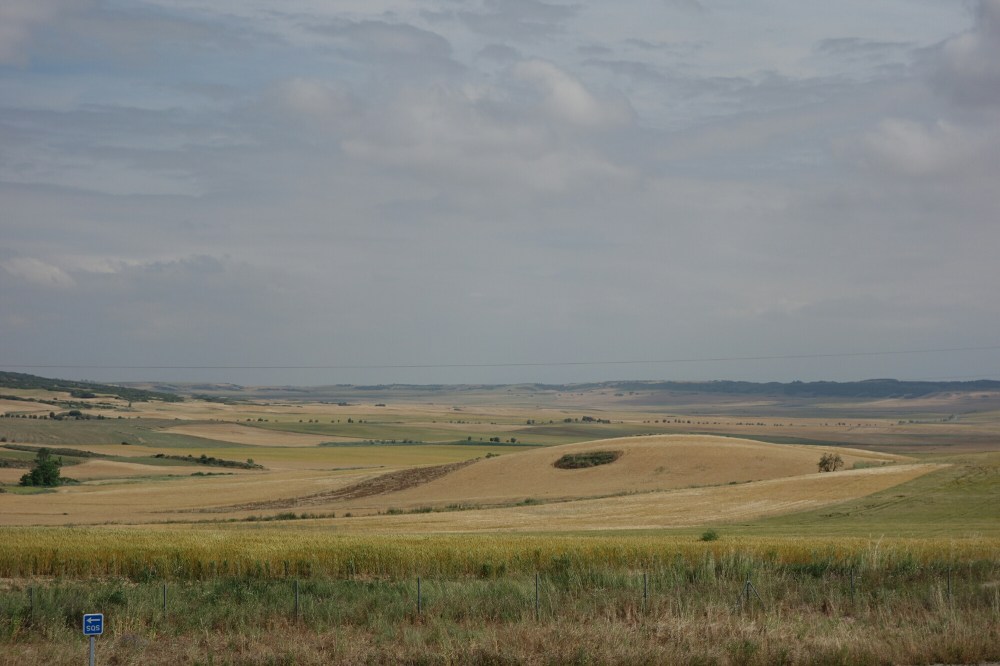 DSC04049.JPG image