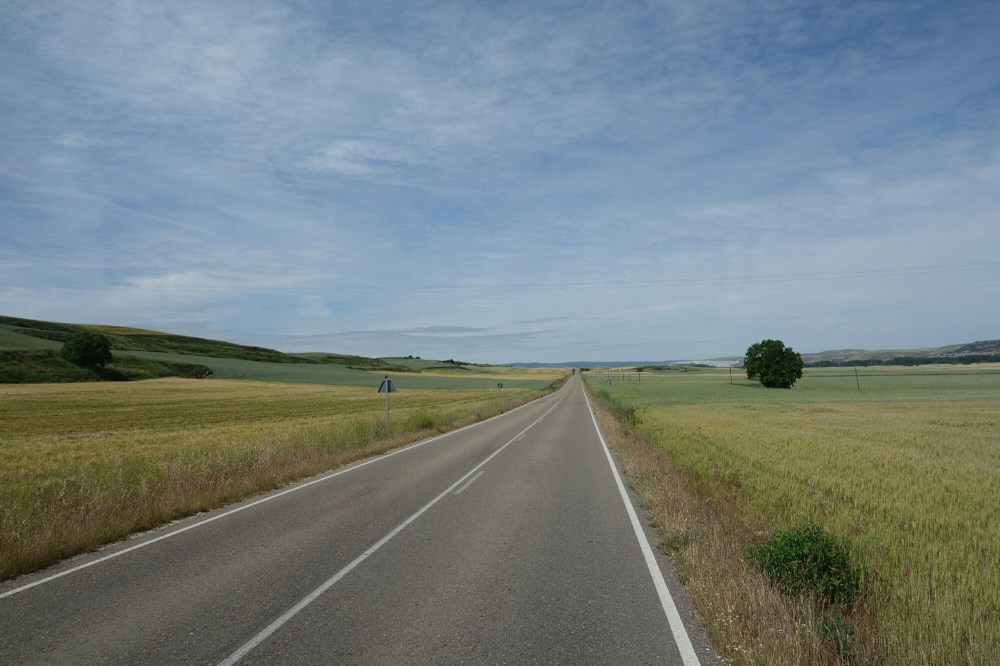 DSC04078.JPG image