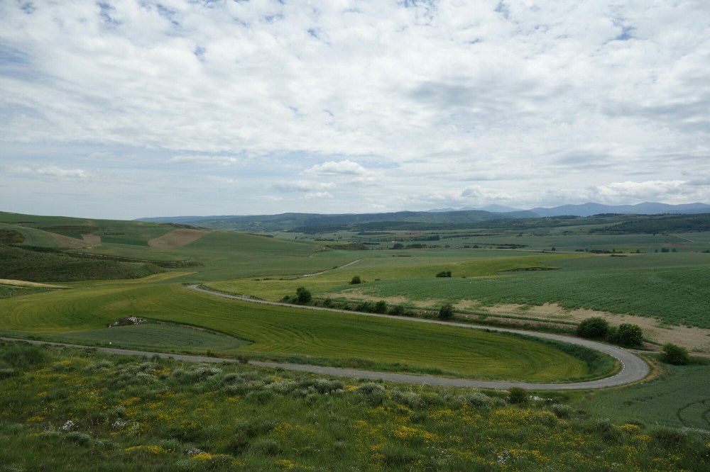 DSC04080.JPG image
