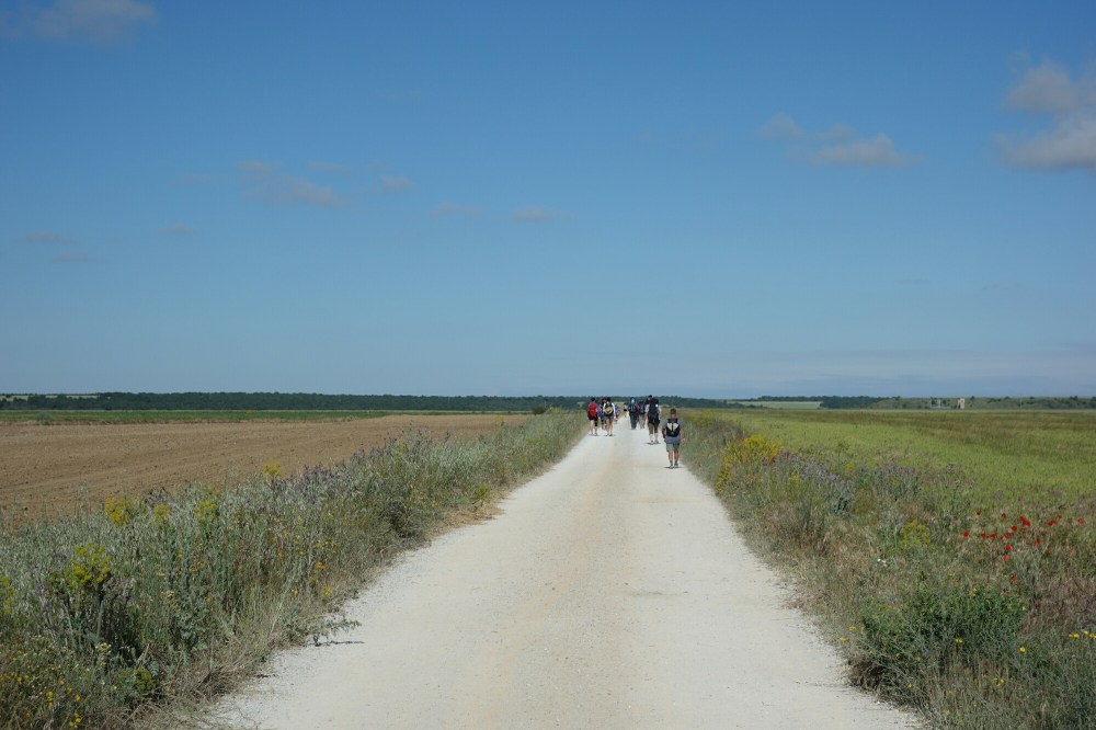 DSC04106.JPG image