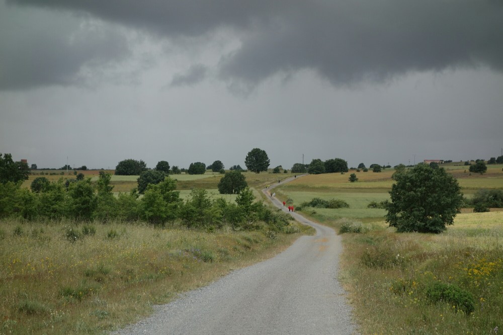 DSC04109.JPG image