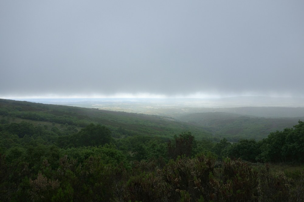DSC04121.JPG image