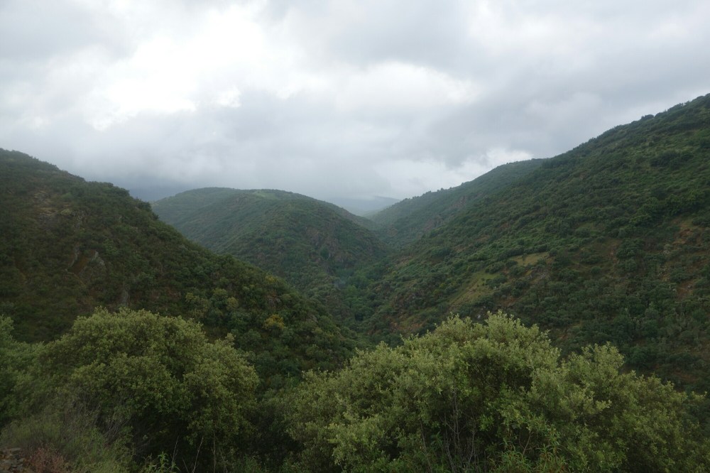 DSC04134.JPG image