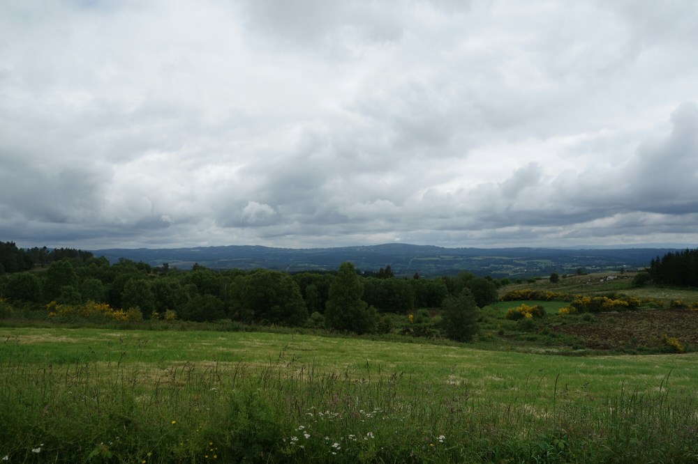 DSC04160.JPG image