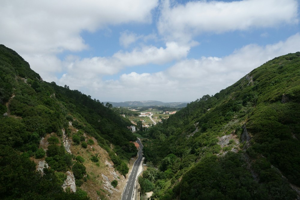 DSC04307.JPG image