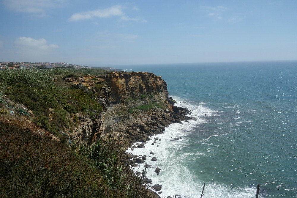DSC04310.JPG image