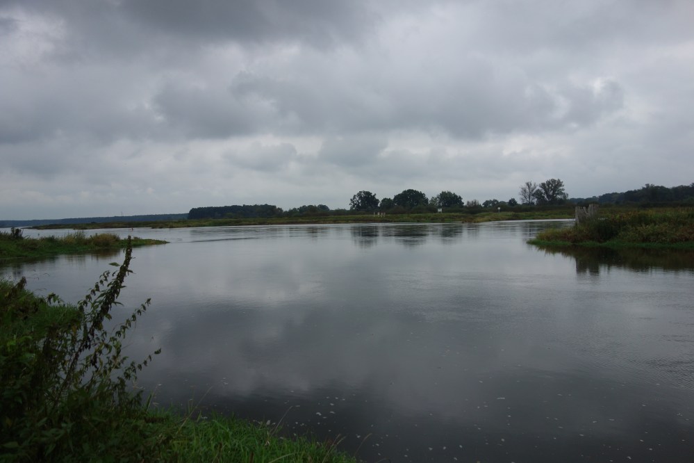 DSC08437