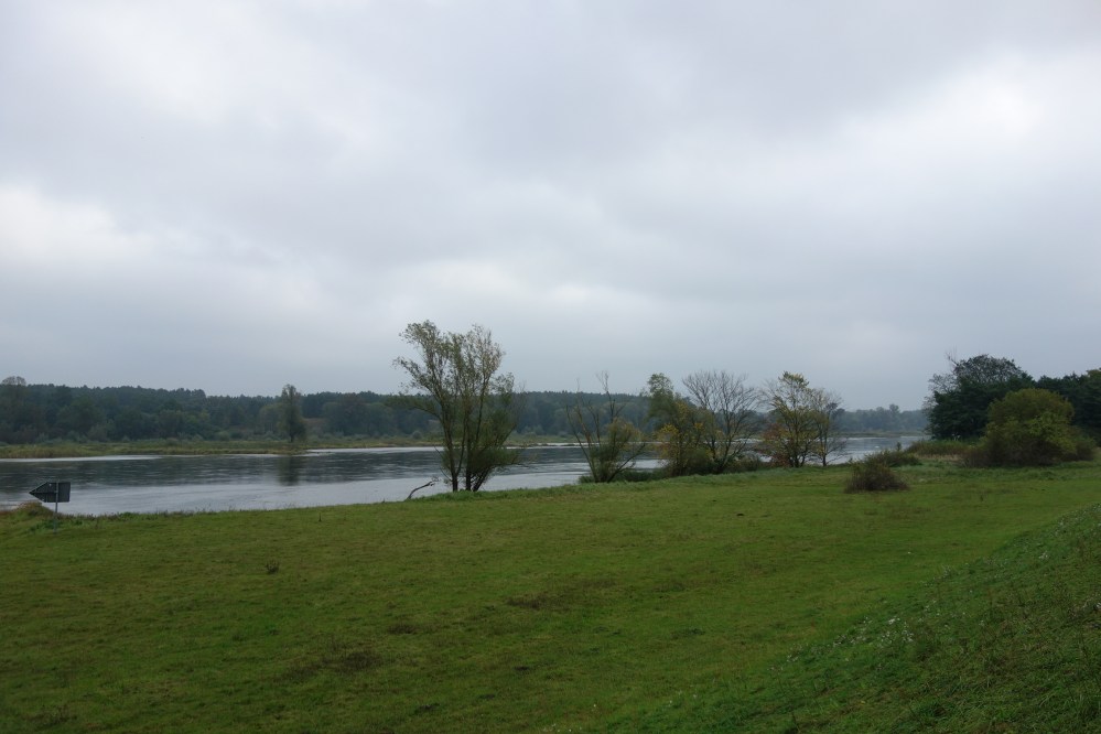 DSC08449