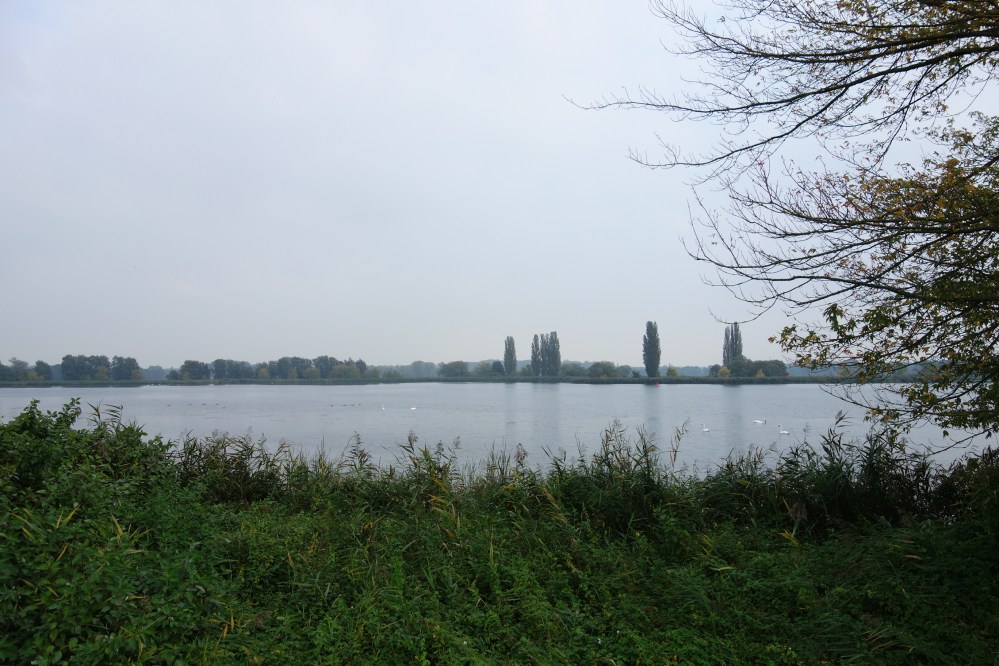 DSC08475
