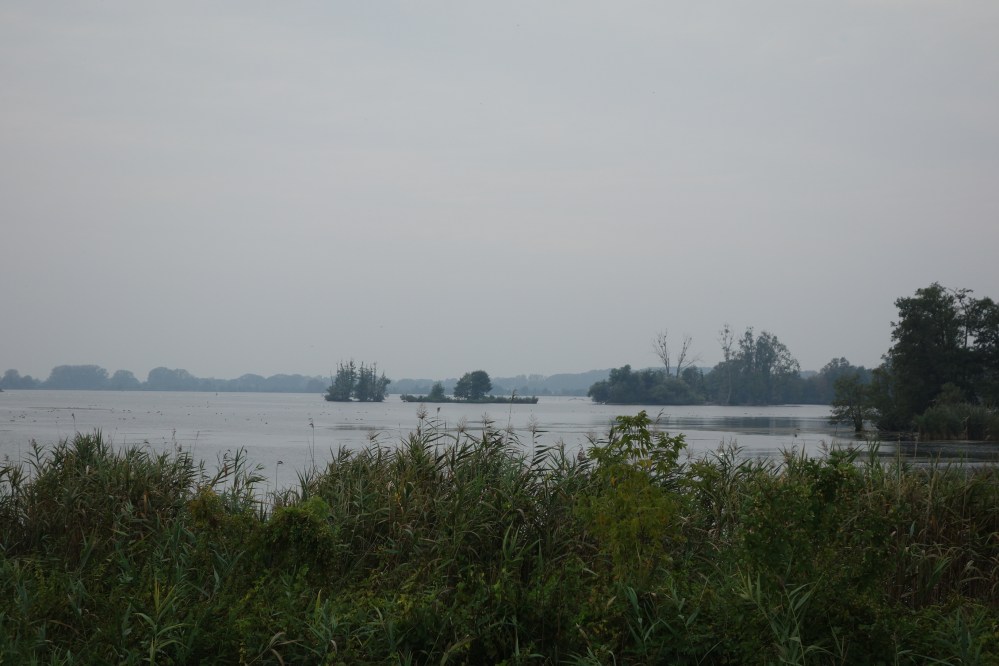 DSC08478